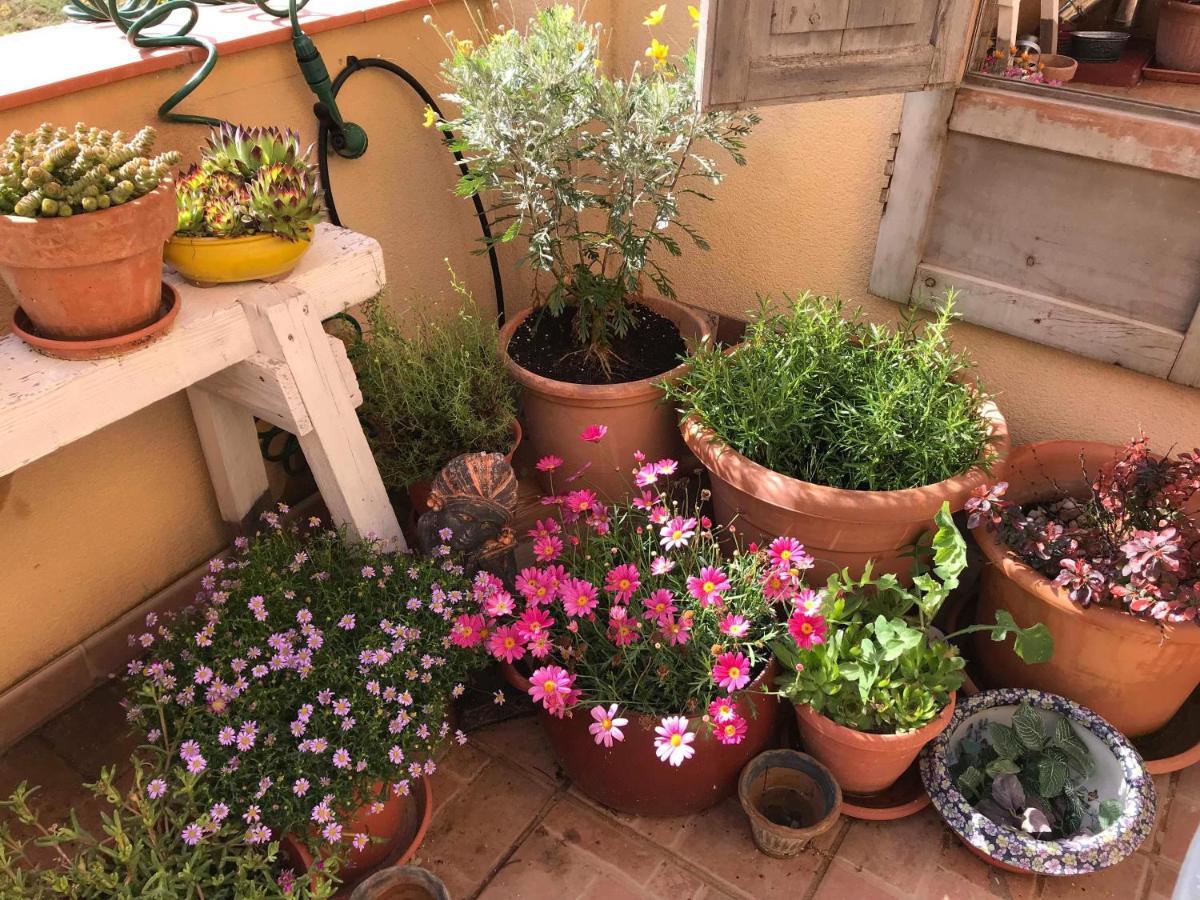 Casa Las 2 Salchichas Bocairent Eksteriør billede