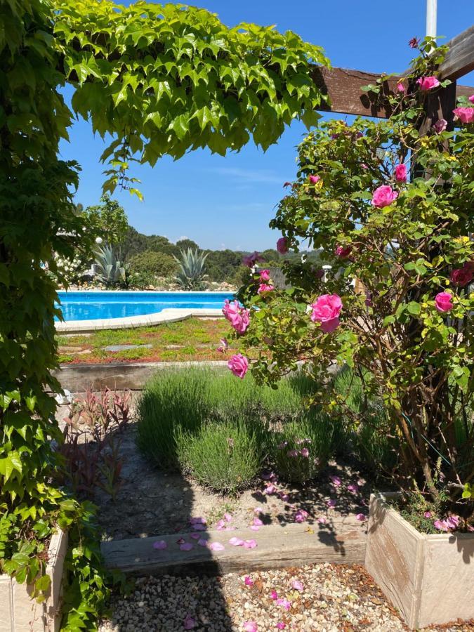 Casa Las 2 Salchichas Bocairent Eksteriør billede